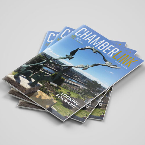 Multiple Covers of of Cahmberlink Magazine