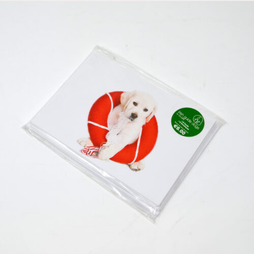 Irish Guide Dogs Christmas Card Pack